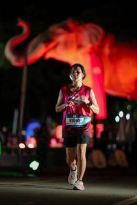 BIB: 
                            <button type="button" onclick="openModal(26530771)" class="btn btn-primary btn-sm float-right btn-popup" data-toggle="modal" data-target=".modal-high-quality">
                        <i class="fas fa-shopping-cart"></i> Add to Cart
                    </button>
                                            <button type="button" onclick="isThisMe(26530771, true)" class="btn btn-success btn-sm float-right btn-popup btn-isme hidden" data-toggle="tooltip" data-placement="bottom" title="นี่คือรูปของคุณใช่ไหม คลิกที่นี่เพื่อเอาเข้าอัลบั้ม">
                        <i class="fas fa-plus"></i> Add to album
                    </button>
                    <button type="button" onclick="isThisMe(26530771, false)" class="btn btn-warning btn-sm float-right btn-popup btn-isnotme hidden">
                        <i class="fas fa-ban"></i> Remove from album
                    </button>